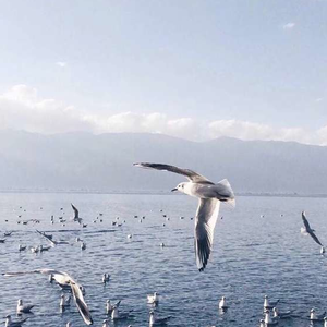 男生插女人下面的视频
